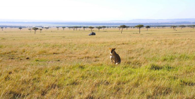 Africa Family Vacations