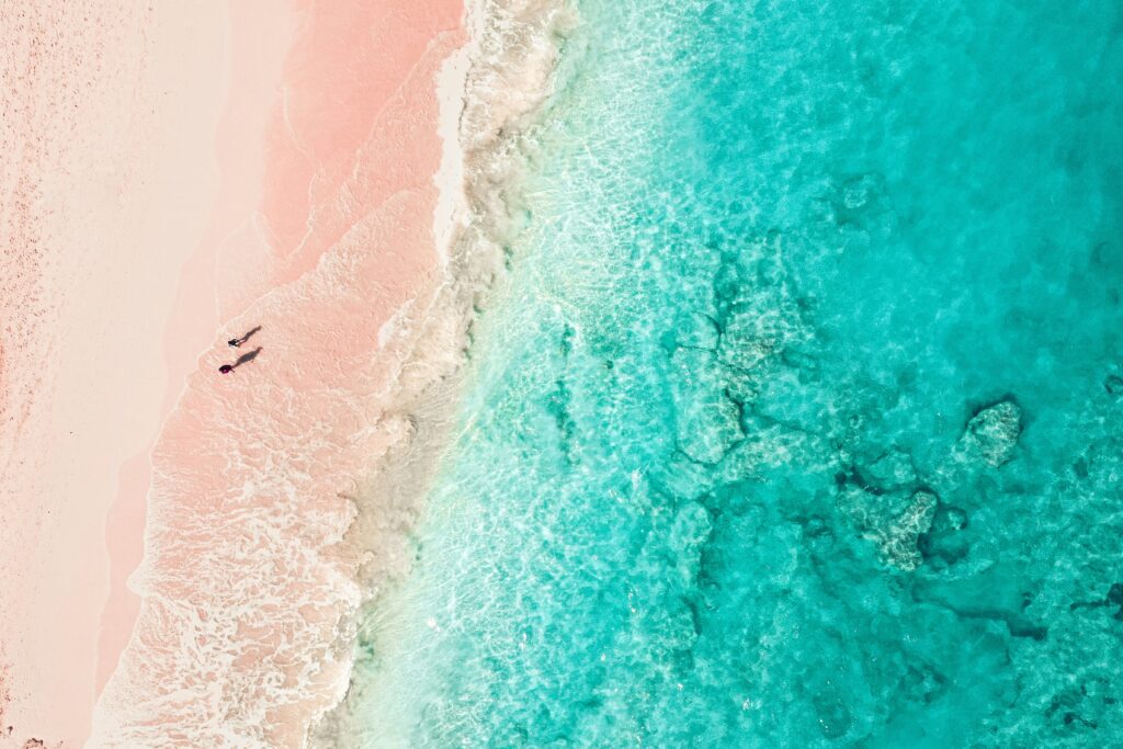 Pink sand beaches of Bermuda. Photo by Kino on Unsplash