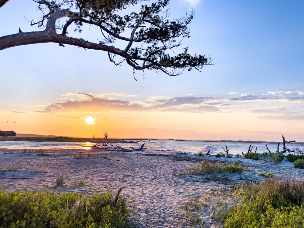 72 Hours in Charleston with Kids