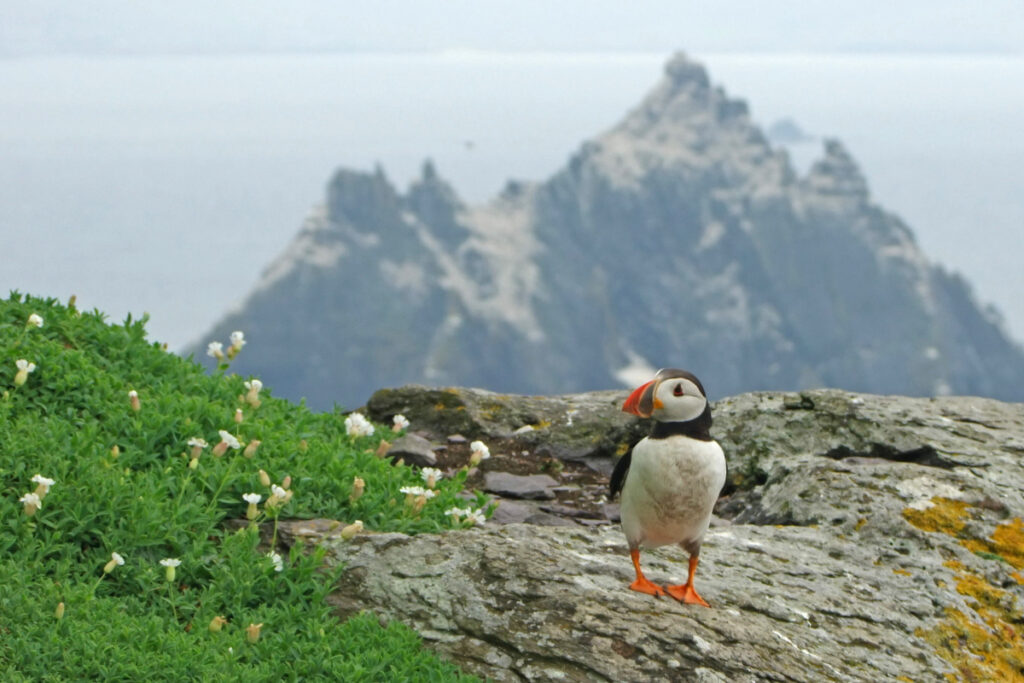 Best Outdoor Things to Do in Ireland with Kids