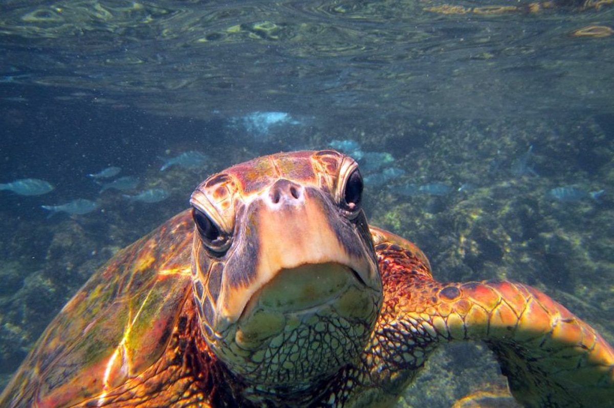 Mother-Daughter Trips, Maui