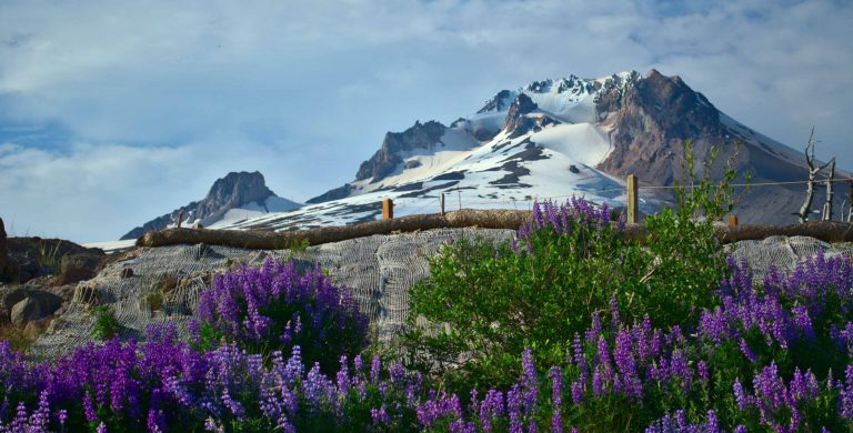 Oregon Family Vacations