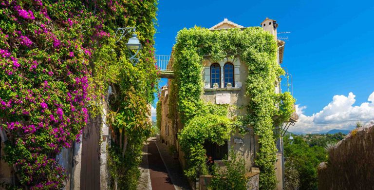 Provence Family Vacations