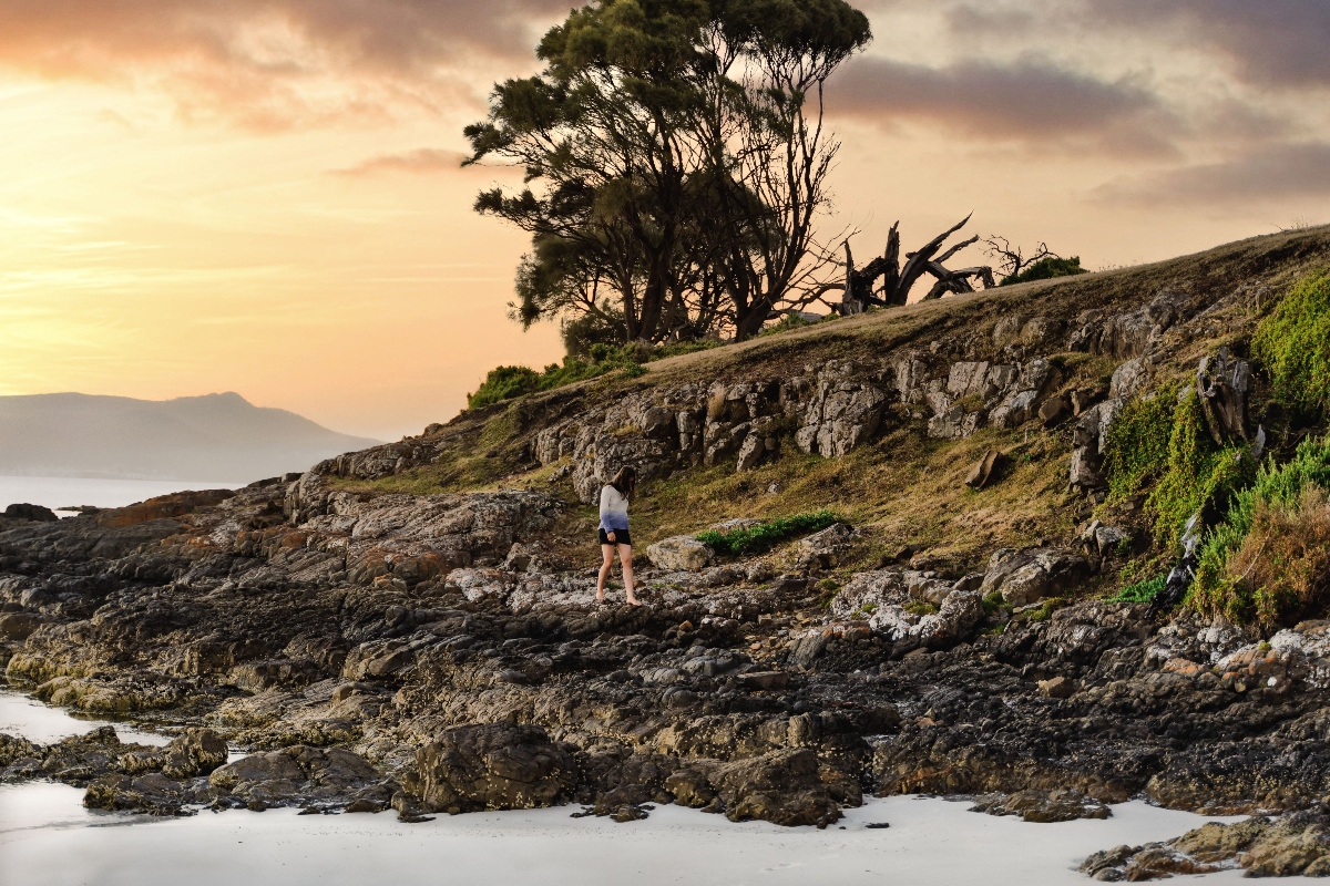 A person stands on rugged, rocky coastline during golden hour, with waves washing over dark volcanic-looking rocks in the foreground. The landscape features steep, grass-covered cliffs topped with native trees, including what appears to be a distinctive dead tree with bare branches. Mountains are visible in the hazy distance under a dramatic sky painted in warm sunset colors.