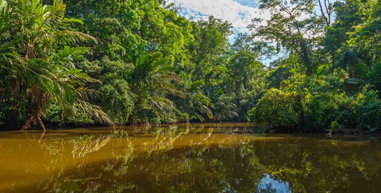 Tortuguero Family Vacations