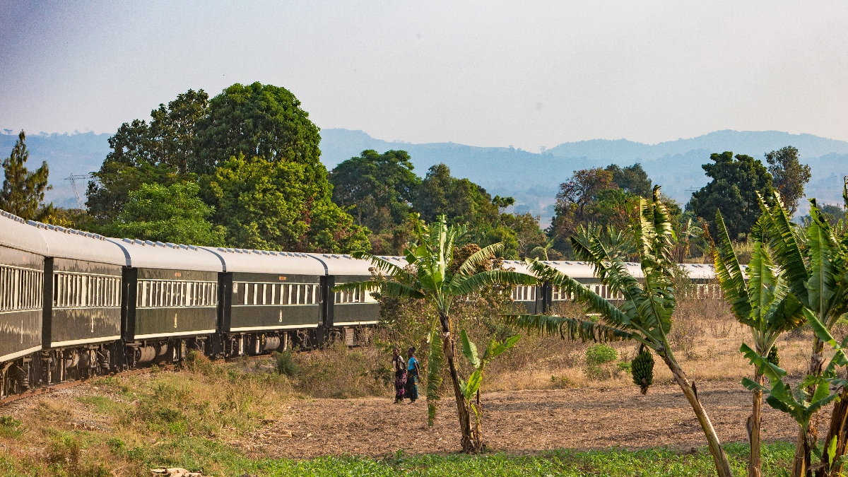 A white passenger train with multiple carriages curves through rural landscape, its windows visible along the length of the cars as it travels past dry grassland and scattered banana plants. In the background, dense green trees frame the scene with misty mountains visible on the horizon, while two figures stand near the tracks in the middle distance.