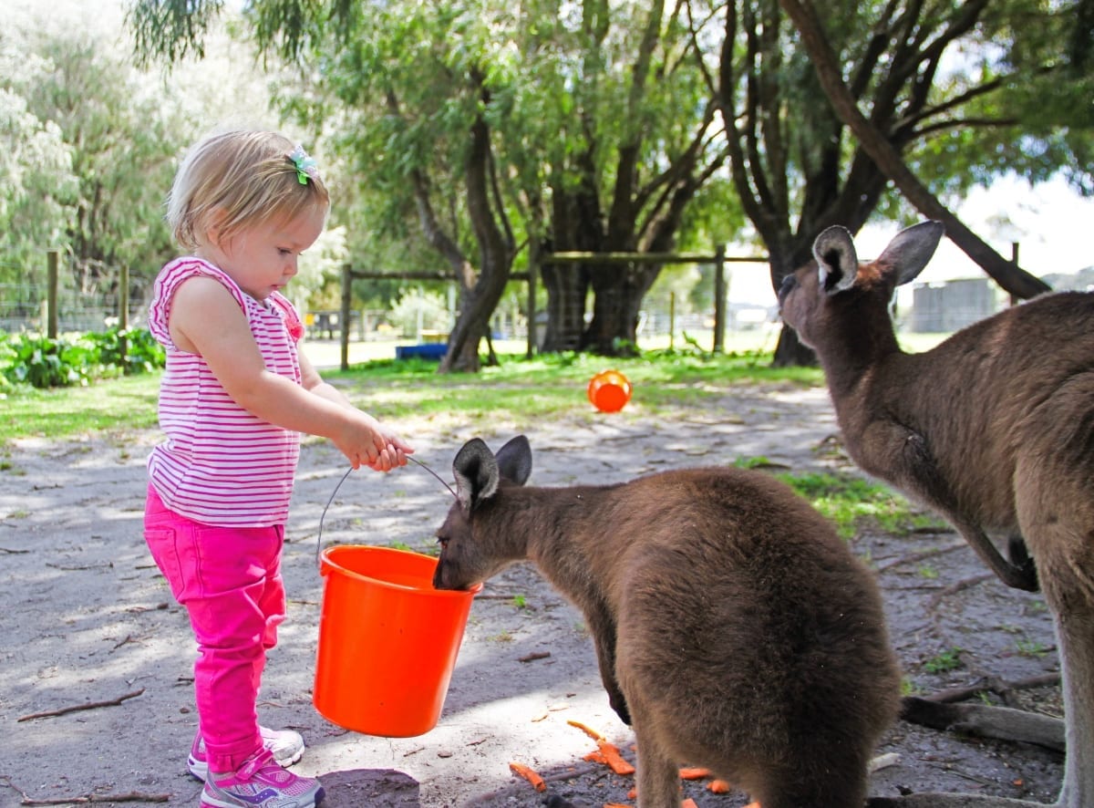 Western Australia with Kids